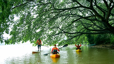 Kayak